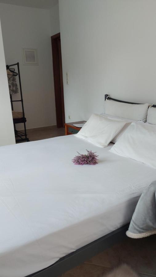Apartamento Fbm Anagenessis - Ευ Ζην Édessa Exterior foto