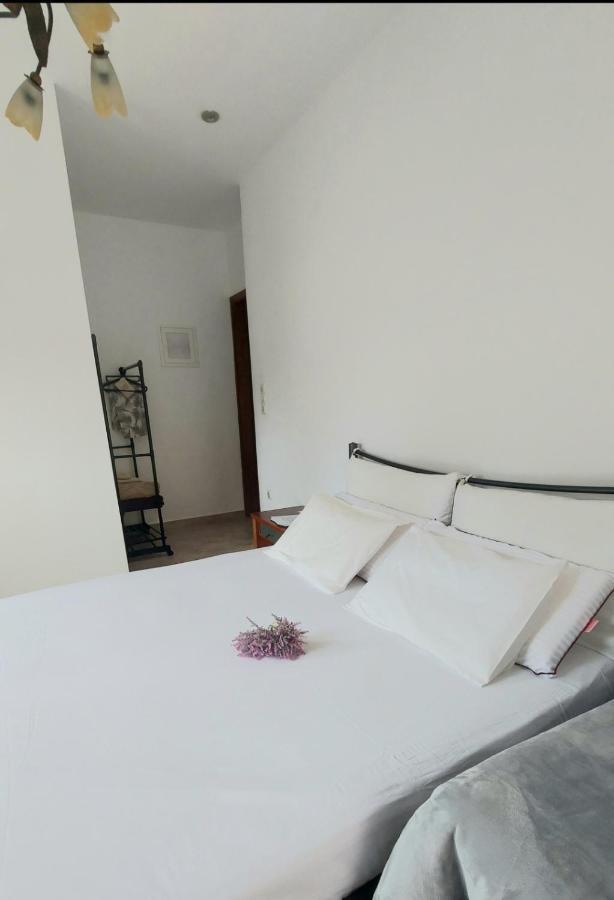 Apartamento Fbm Anagenessis - Ευ Ζην Édessa Exterior foto